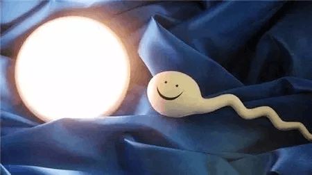 关于代生生男孩代怀中介